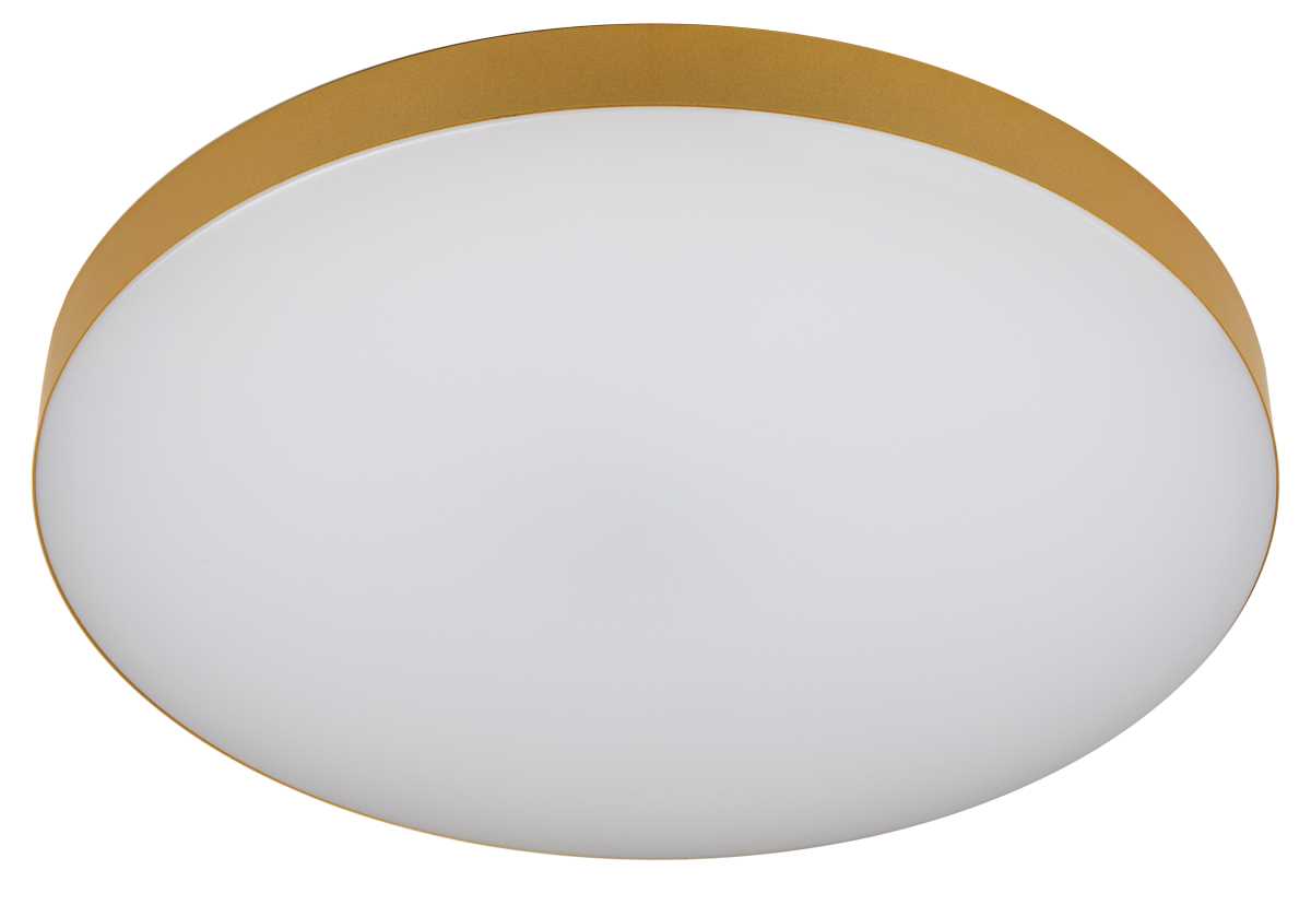 фото светильник потолочный светодиодный эра классик с ду relict 48 pult spb-6-60-rc mg 60вт 3000-6500к золото б0059498 | 220svet.ru