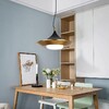 Миниатюра фото подвесной светодиодный светильник imperium loft 151756-26 | 220svet.ru