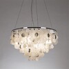 Миниатюра фото подвесная люстра arte lamp pipirima a4100lm-8cc | 220svet.ru
