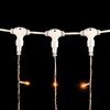 Миниатюра фото гирлянда занавес 2 x 3 м желтый 220в, 600 led, провод прозрачный пвх, ip54 ltc pcl602-10-2y | 220svet.ru