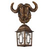 Миниатюра фото уличный настенный светильник favourite hunt 2080-1w | 220svet.ru
