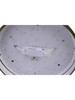 Миниатюра фото потолочный светодиодный светильник zortes bella zrs.27510.05 | 220svet.ru