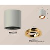 Миниатюра фото комплект накладного светильника ambrella light techno spot xs7533004 sgr/pyg серый песок/золото желтое полированное (c7533, n7004) | 220svet.ru