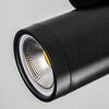 Миниатюра фото спорт поворотный lightstar rullo 213407 | 220svet.ru