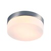 Миниатюра фото потолочный светильник arte lamp aqua-tablet a6047pl-2ss | 220svet.ru