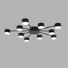 Миниатюра фото потолочная люстра lumion torina 8344/10c черный | 220svet.ru