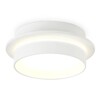 Миниатюра фото потолочный светильник ambrella light tn5383 | 220svet.ru