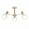 Миниатюра фото потолочная люстра evoluce catania sle220702-03 | 220svet.ru