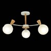 Миниатюра фото потолочная люстра evoluce catania sle220702-03 | 220svet.ru