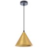 Миниатюра фото подвесной светильник arte lamp david a7033sp-1bk | 220svet.ru