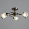 Миниатюра фото потолочная люстра arte lamp 3 a6056pl-3ab | 220svet.ru
