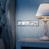 Миниатюра фото выключатель одноклавишный с подсветкой werkel серебряные w1110106 | 220svet.ru