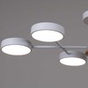 Миниатюра фото светильник потолочный reluce 03335-0.3-06 wh+wood | 220svet.ru