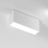 Миниатюра фото потолочный светодиодный светильник elektrostandard 25109/led a066995 | 220svet.ru