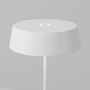 Миниатюра фото уличный переносной аккумуляторный светильник maytoni porto o540tl-l2wcct | 220svet.ru