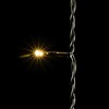Миниатюра фото гирлянда занавес облегченный c колпачком 2 x 1 м тепло-белый 220в, 200 led, провод черный пвх, ip65 ltc pcl200capnot-11-2ww | 220svet.ru