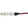 Миниатюра фото светодиодная лента feron 11w/m 120led/m 2835smd 4000к 5m свободный рез ls506 53058 | 220svet.ru