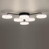 Миниатюра фото потолочная светодиодная люстра с пультом ду lumion didana 8236/6cl черный | 220svet.ru