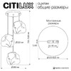 Миниатюра фото подвесной светильник citilux rocka cl247084 | 220svet.ru