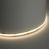 Миниатюра фото светодиодная лента feron ls534 cob cct-mix 14w/m 624led/m 2110smd 2700k-6500к 5m 51976 | 220svet.ru