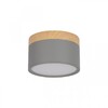 Миниатюра фото накладной светодиодный светильник loft it grape 10162 grey | 220svet.ru