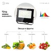 Миниатюра фото прожектор светодиодный для растений эра fito-50w-ra90-led б0047875 | 220svet.ru