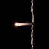 Миниатюра фото гирлянда занавес облегченный 2 x 3 м экстра тепло-белый с мерцанием белого диода 220в, 600 led, провод прозрачны пвх, ip54 ltc pcl600notblw-10-2eww | 220svet.ru