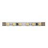 Миниатюра фото лента swg 9,6w/m 120led/m 3528smd теплый белый 5m 005669 | 220svet.ru