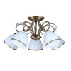 Миниатюра фото потолочная люстра omnilux alimini oml-25307-05 | 220svet.ru