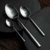 Миниатюра фото ложка чайная roomers tableware dj09040-ts-mat | 220svet.ru