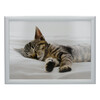 Миниатюра фото поднос с подушкой sleeping kitten creative tops | 220svet.ru