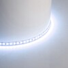 Миниатюра фото светодиодная лента feron 11w/m 120led/m 2835smd 6500к 5m свободный рез ls506 53059 | 220svet.ru